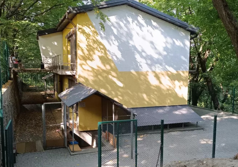 Коворкінг для переселенців у Тернополі перетворили на приватну студію сина заступника мера