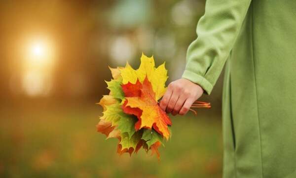 16 листопада — яке сьогодні свято: що відзначають в Україні та світі, прикмети і заборони дня