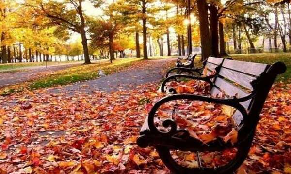 Погода в Украине 3 ноября: синоптики обещают тепло и сухо, но на западе пройдут дожди