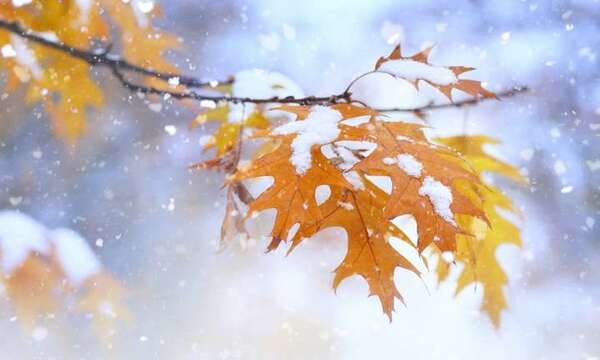 Погода 22 ноября: Украину накроют дожди, снег и туман