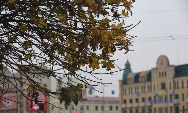 Прогноз погоды на 30 ноября: в Украине потеплеет до +12, местами дождь