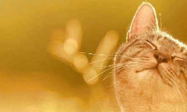 Погода в Украине 2 ноября: тепло и без осадков по всей стране