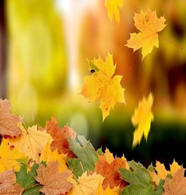 8 ноября православные чтят архангела Михаила: приметы и традиции