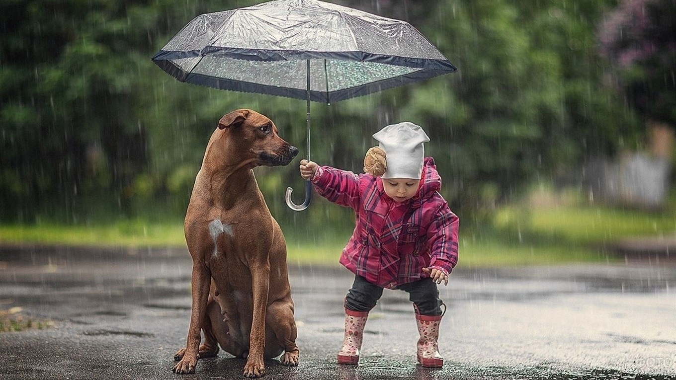 Погода в Украине на 12 ноября: облачно, дожди и местами туман