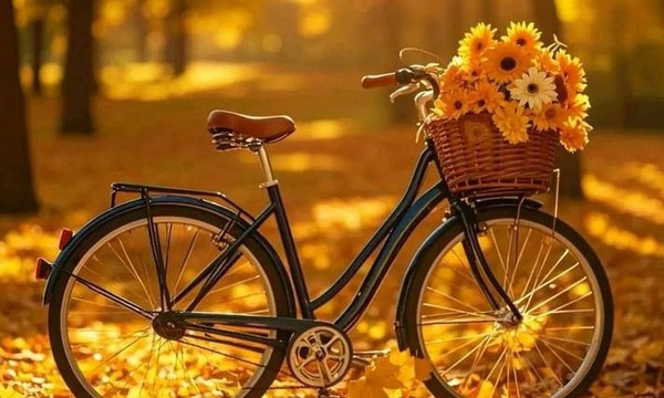 2 листопада в Україні: церковне свято, заборони та традиції дня