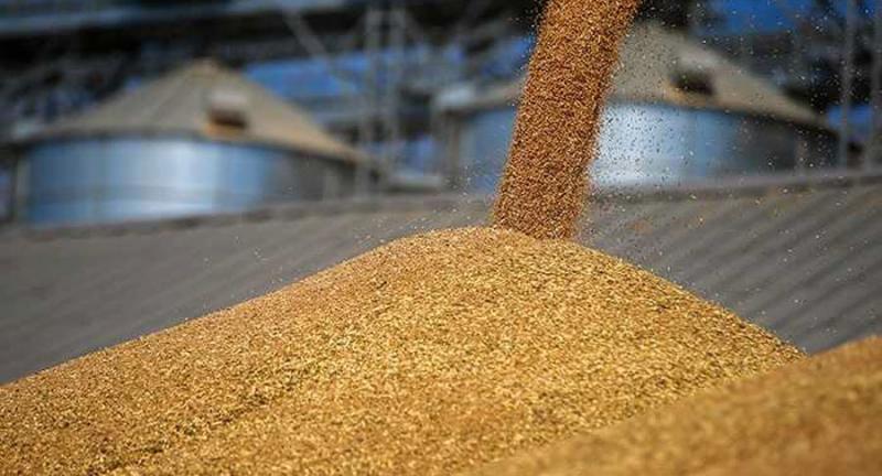 Российский след Андрея Задираки: коллаборанты в окружении житомирского агрария