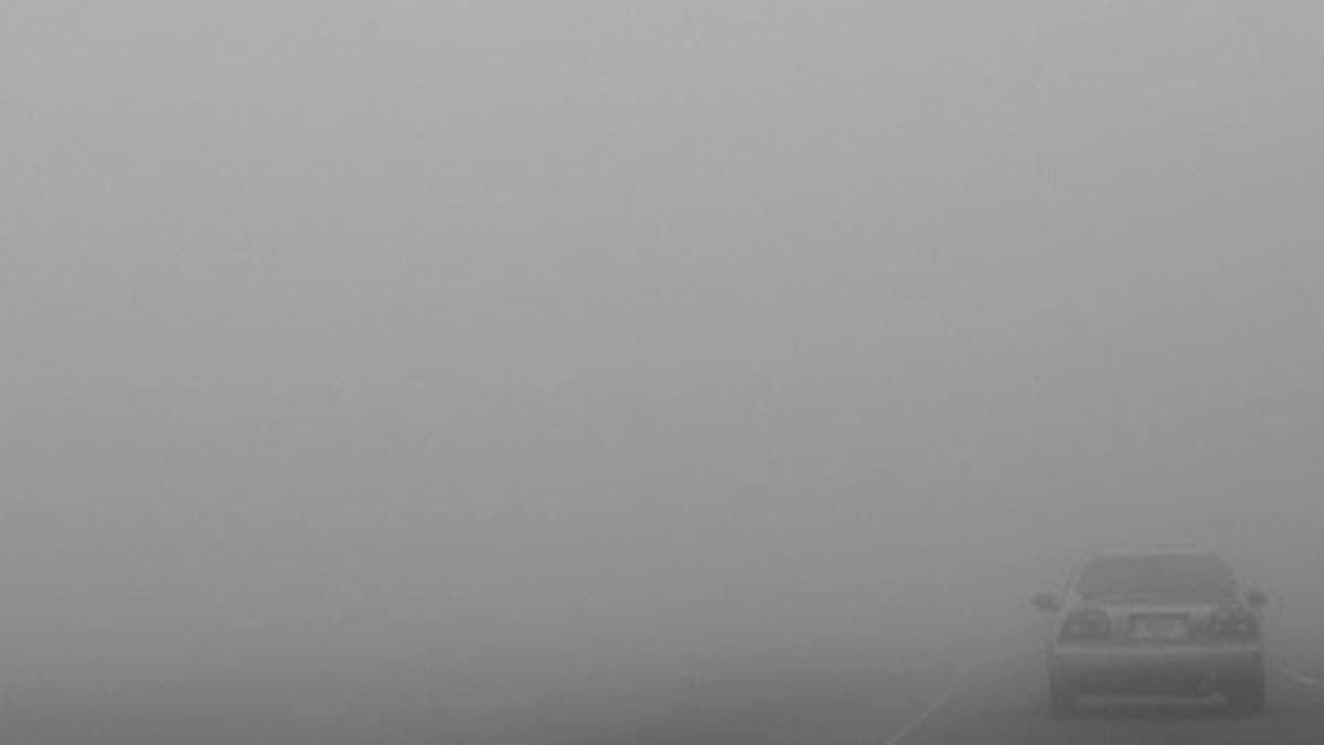 Погода в Україні 19 грудня: антициклон утримає опади, туман на Лівобережжі та заході країни