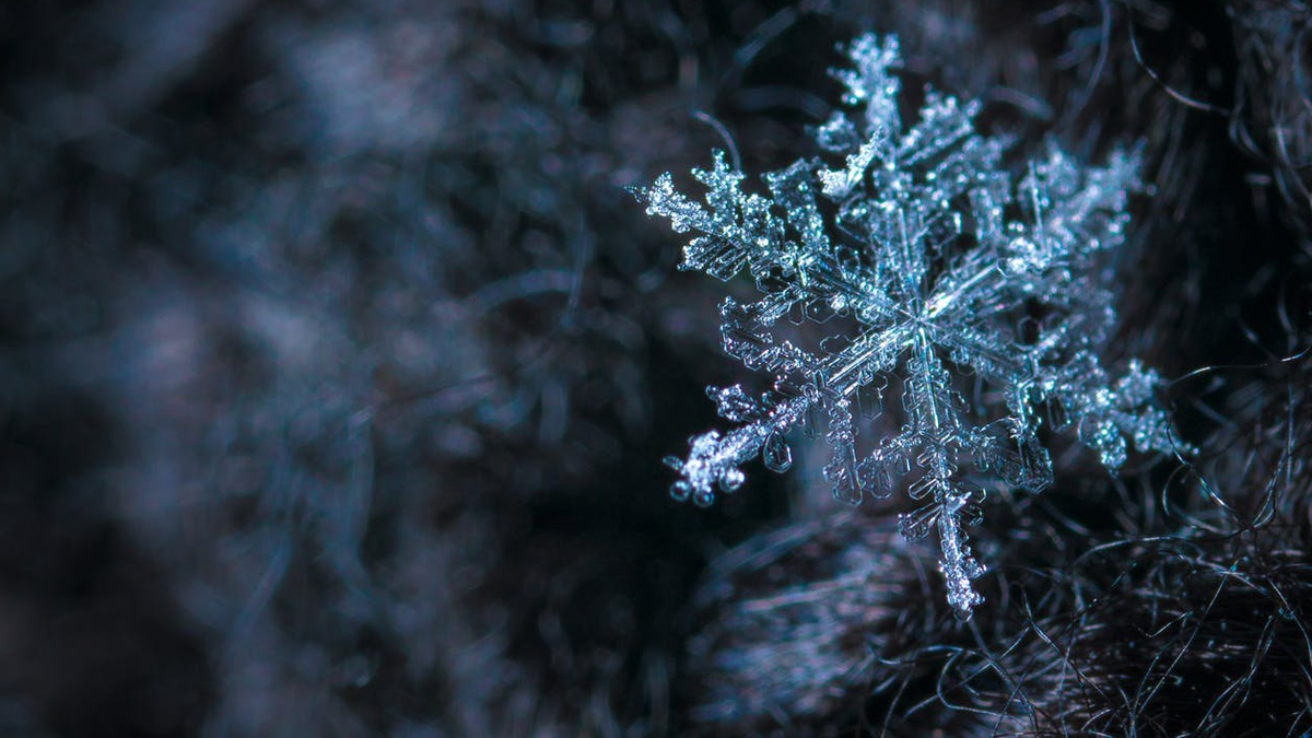 25 декабря в Украине ожидаются сильные морозы: прогноз погоды по городам