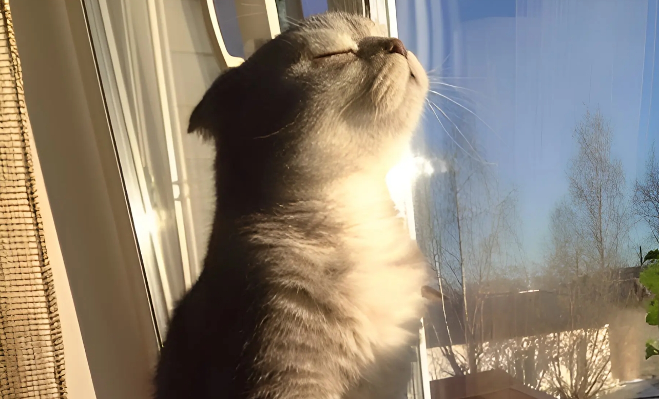 Украину разогреет до +12: синоптики прогнозируют самую теплую погоду 18 декабря на юге и в Крыму