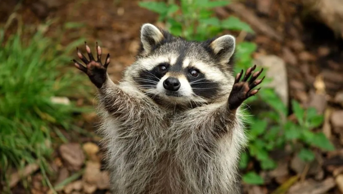 Какой праздник 4 декабря и кто отмечает сегодня именины