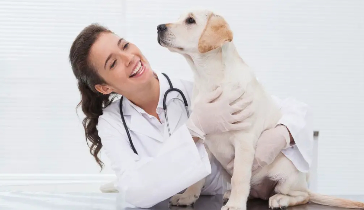 Какой праздник 9 декабря и кто отмечает сегодня именины