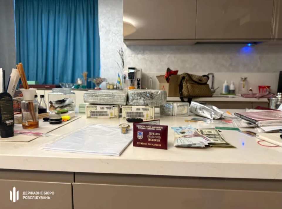 В Днепре задержали экоинспекторку Лилию Чигрикову с миллионом долларов наличных денег: роскошную жизнь и теневое состояние семьи ее руководителя