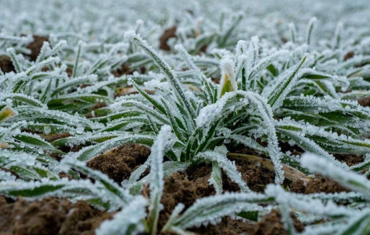 В Україні з 13 грудня прогнозують похолодання: морози до –12°C