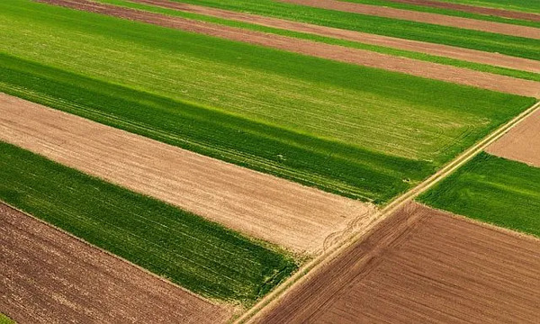 Экс-чиновника Андрея Задираку могут экстрадировать из Греции из-за земельных схем в Украине