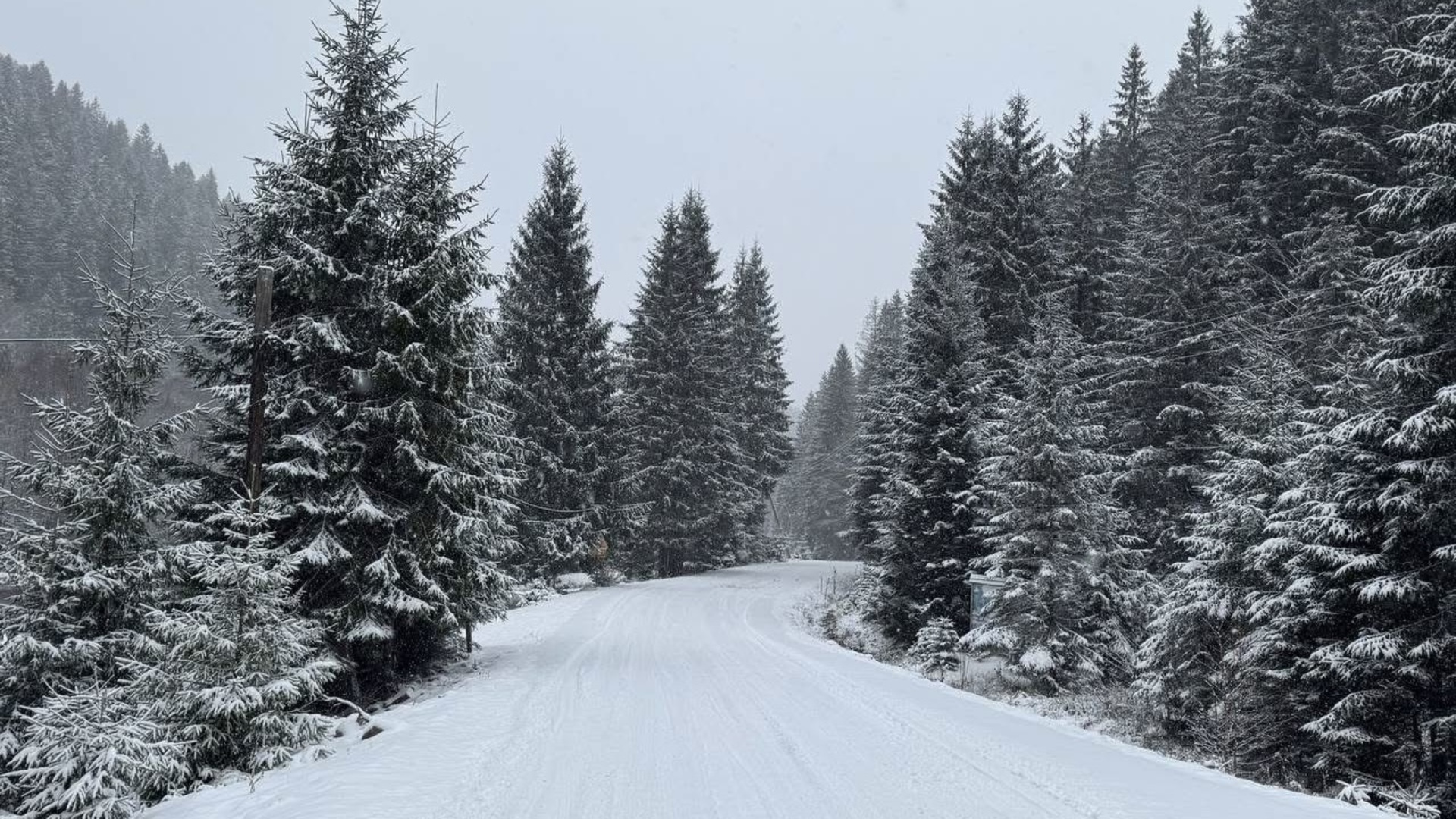 Потепління в Україні: коли відійдуть морози та де очікувати підвищення температури