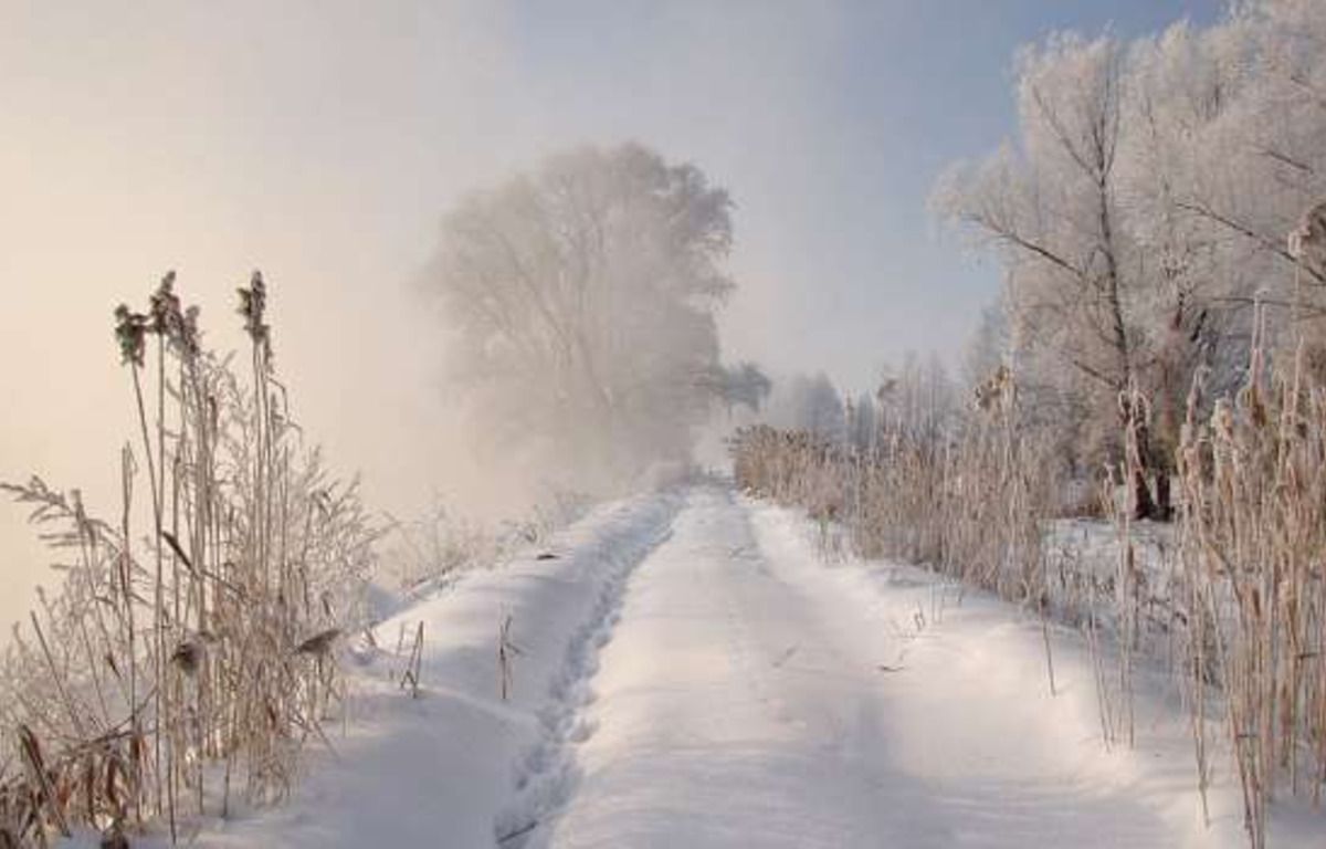 Сильный ночной мороз и осадки по всей Украине: прогноз погоды на 6 января.