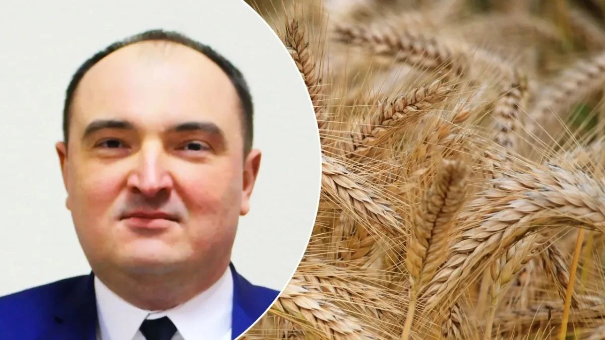 “Вся російська рать” Андрія Задираки. Екс-чиновник зі звʼязками з країною-агресором здійснював рейдерські захоплення землі громади на Житомирщині