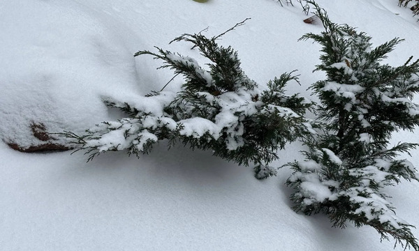 Морози не відступають: прогноз погоди в Україні на 18 січня