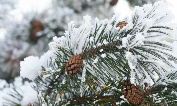 5 января в православном календаре: праздник веры, поста и освященной воды