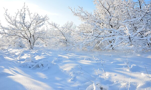 12 января: какой сегодня праздник, приметы дня и кого чествуют в церкви