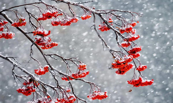 В Украину идут морозы и мокрый снег: прогноз погоды на воскресенье, 4 января