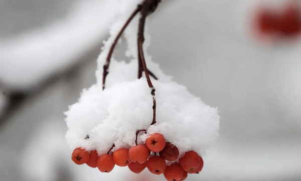 Украину накроют морозы до -28: синоптикиня предупредила о резком похолодании