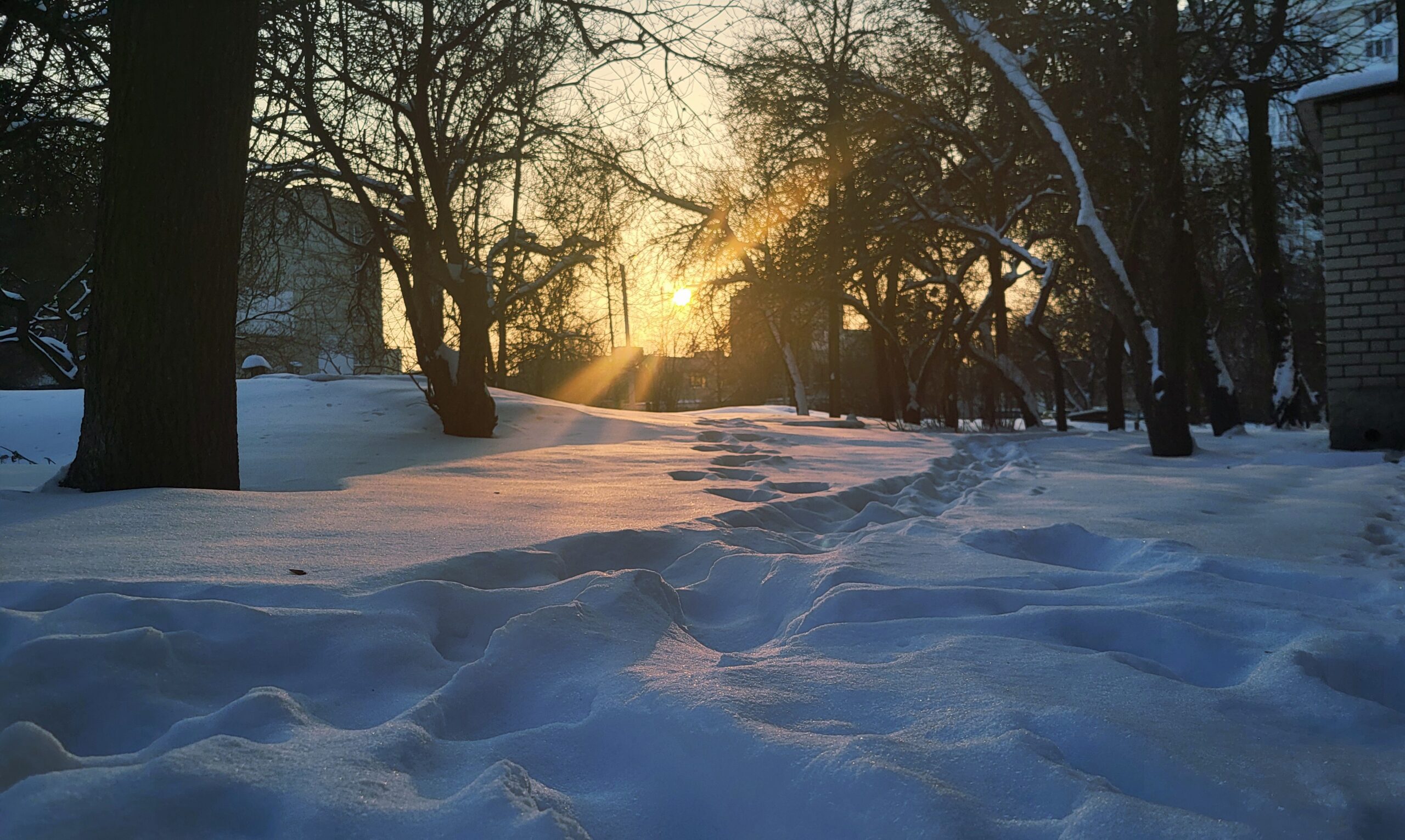 Погода в Україні 28 лютого: без опадів, до +11° на заході та півдні