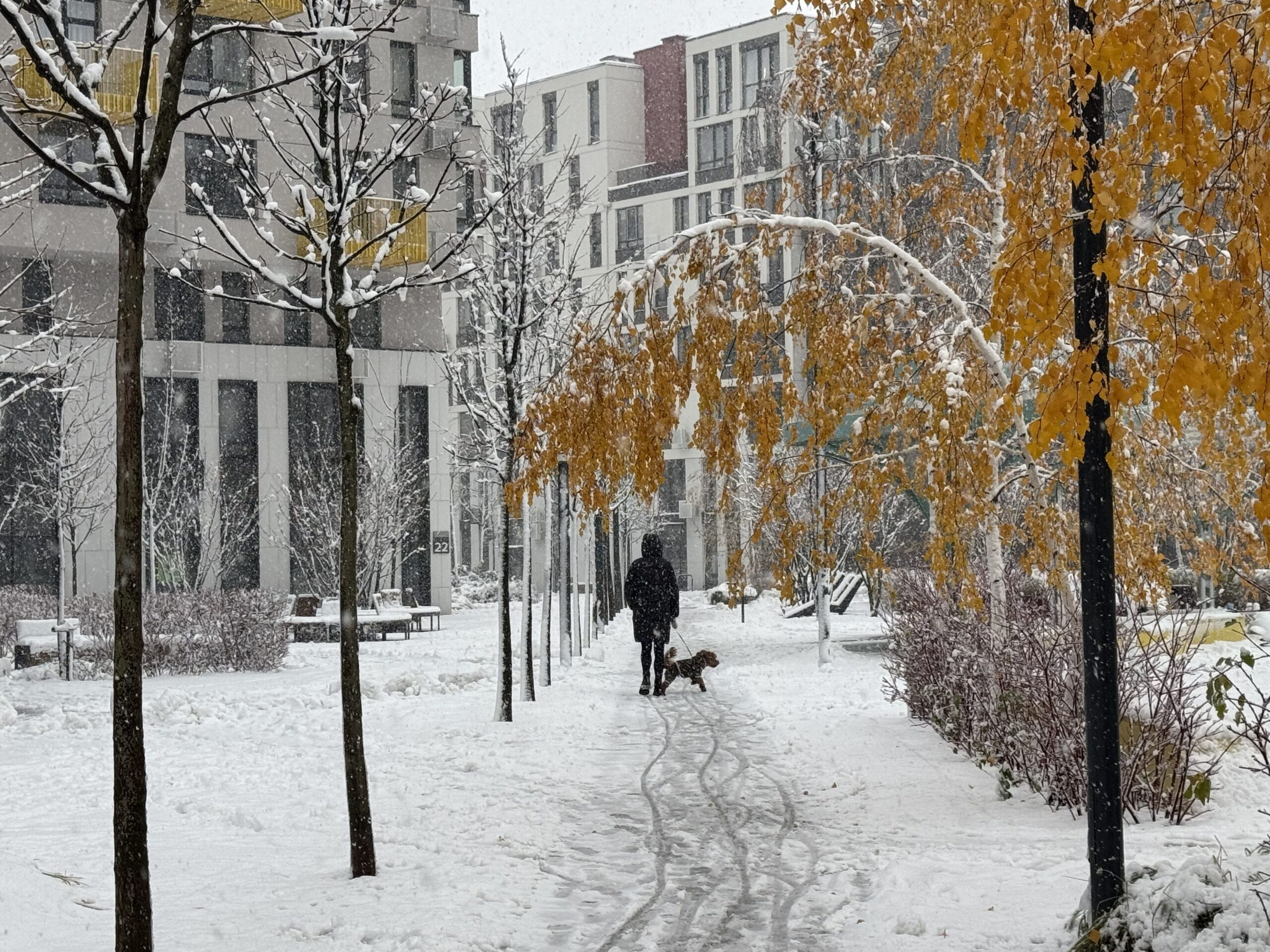 Какая будет погода в Украине в пятницу, 27 февраля — прогноз синоптиков