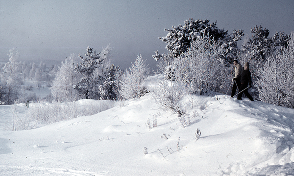 Погода в Киеве и регионах: 16 февраля ожидаются морозы до -11° и снег