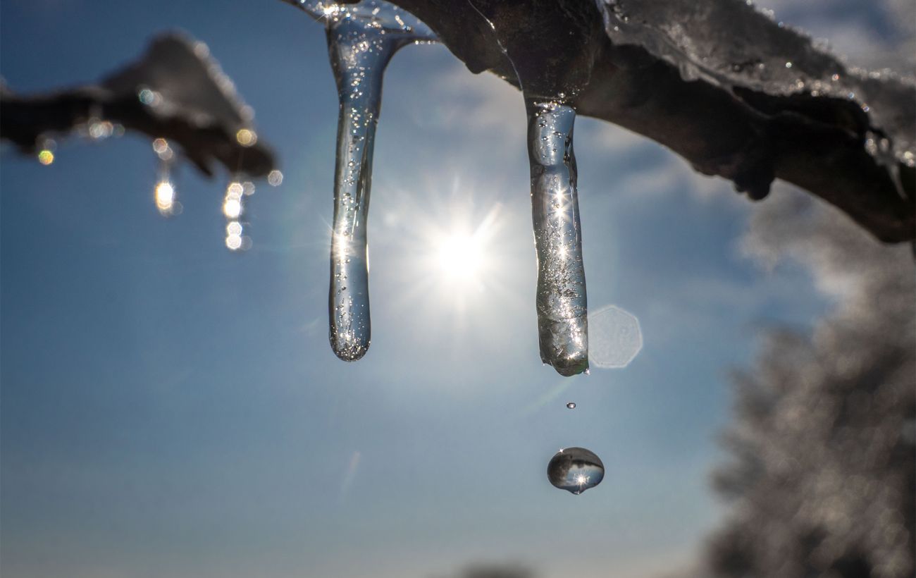 Погода в Украине 23 февраля: потепление, дождь и сильный ветер