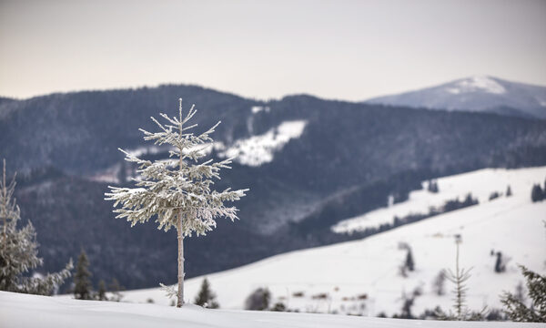 8 лютого вшановують святого Теодора Стратилата та пророка Захарію: традиції і заборони дня