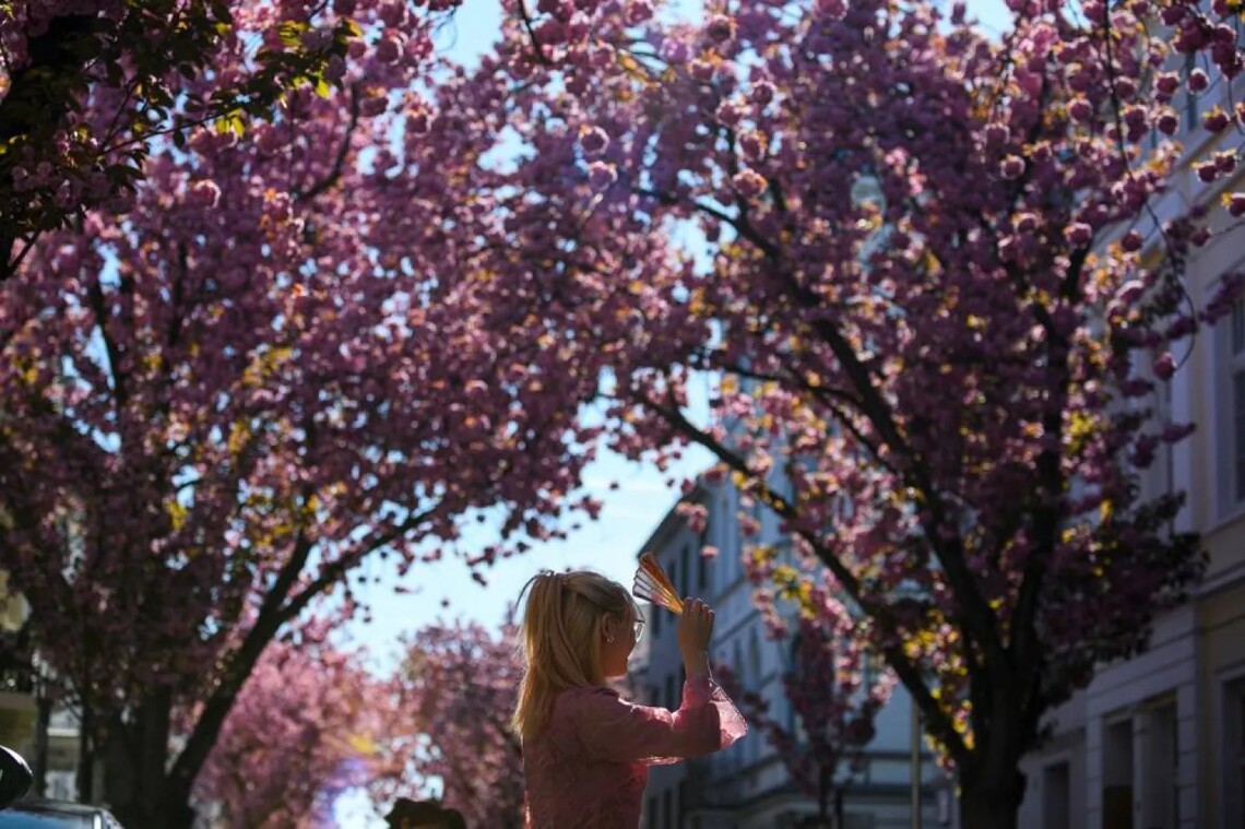 +13° и порывы ветра до 20 м/с: какой будет погода в Украине 15 марта