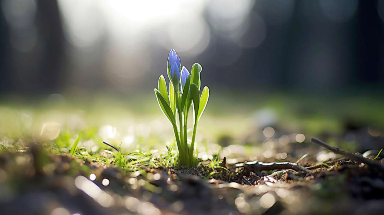 5 березня 2026: яке сьогодні свято в Україні та світі, церковний день, прикмети та заборони