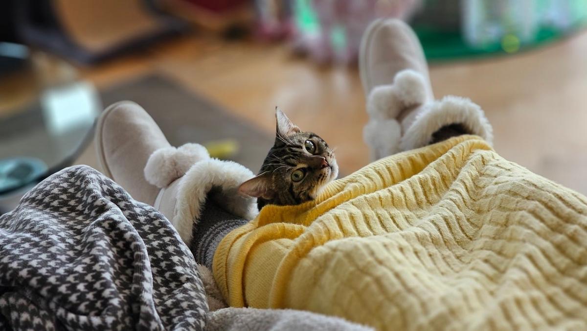 Погода в Украине резко изменится: когда придет похолодание и где ударят заморозки