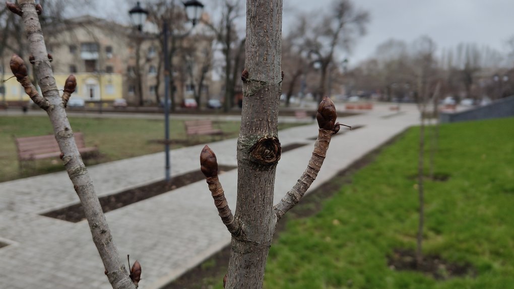 Праздники 30 марта в Украине и мире: церковные даты, международные события и народные приметы