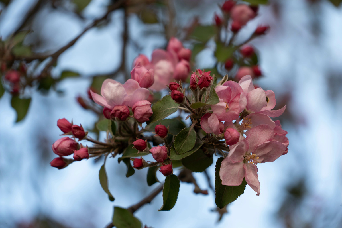 Прогноз погоды в Украине на понедельник: температура, дожди и переменная облачность