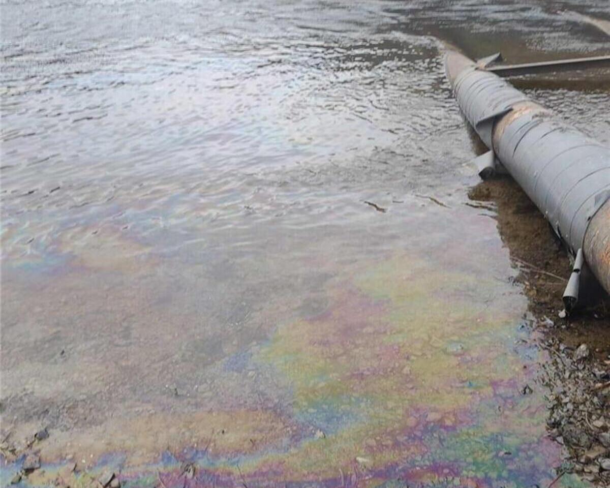 Загрязнение реки Днестр после обстрела РФ: экологическая опасность для Украины и Молдовы