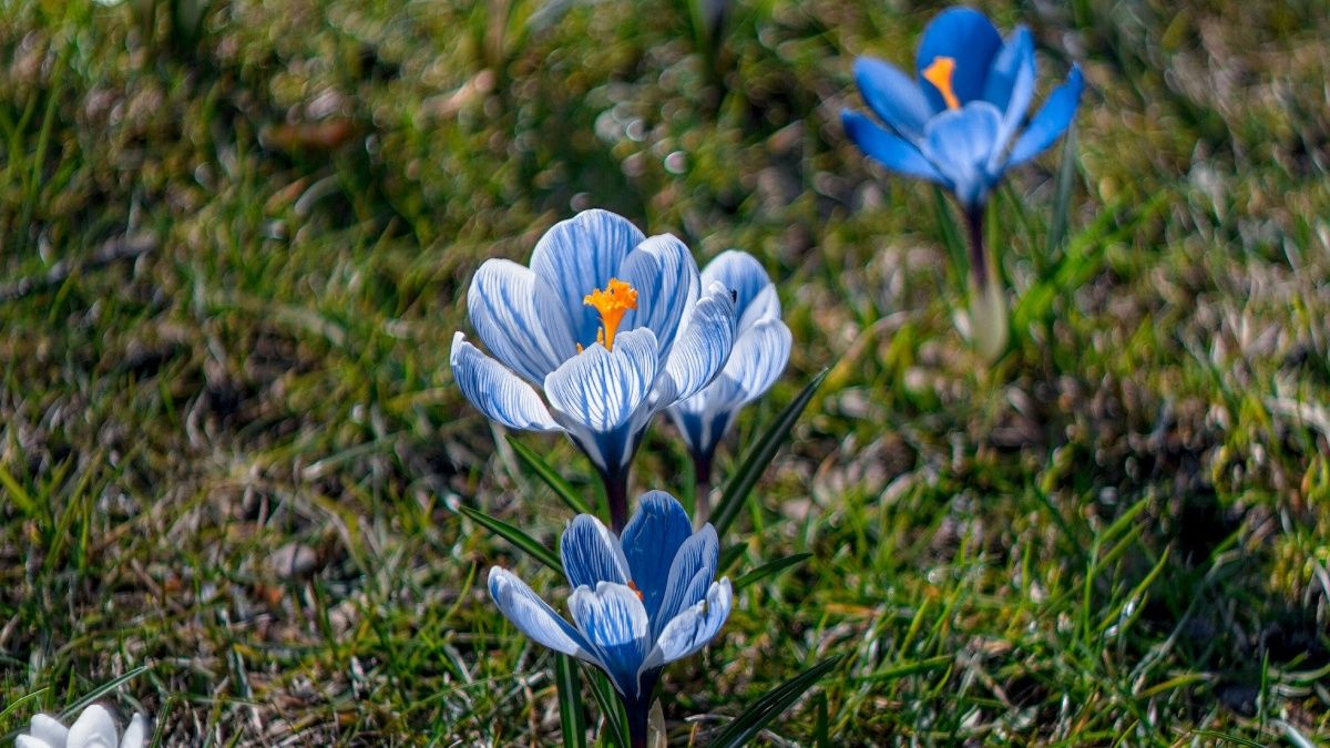 Погода в Украине 9 марта: где ожидается до +16 градусов