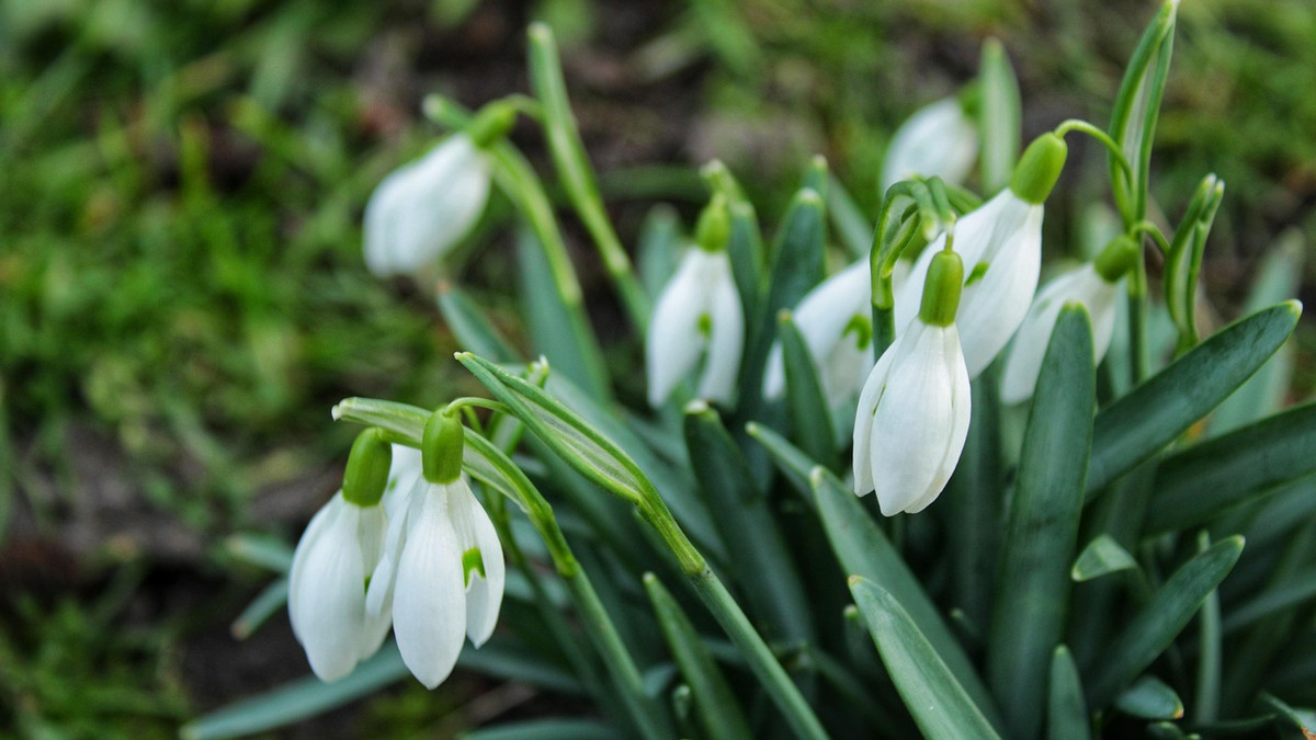 Погода в Україні 2 березня: сухо, прохолодно, можливий туман