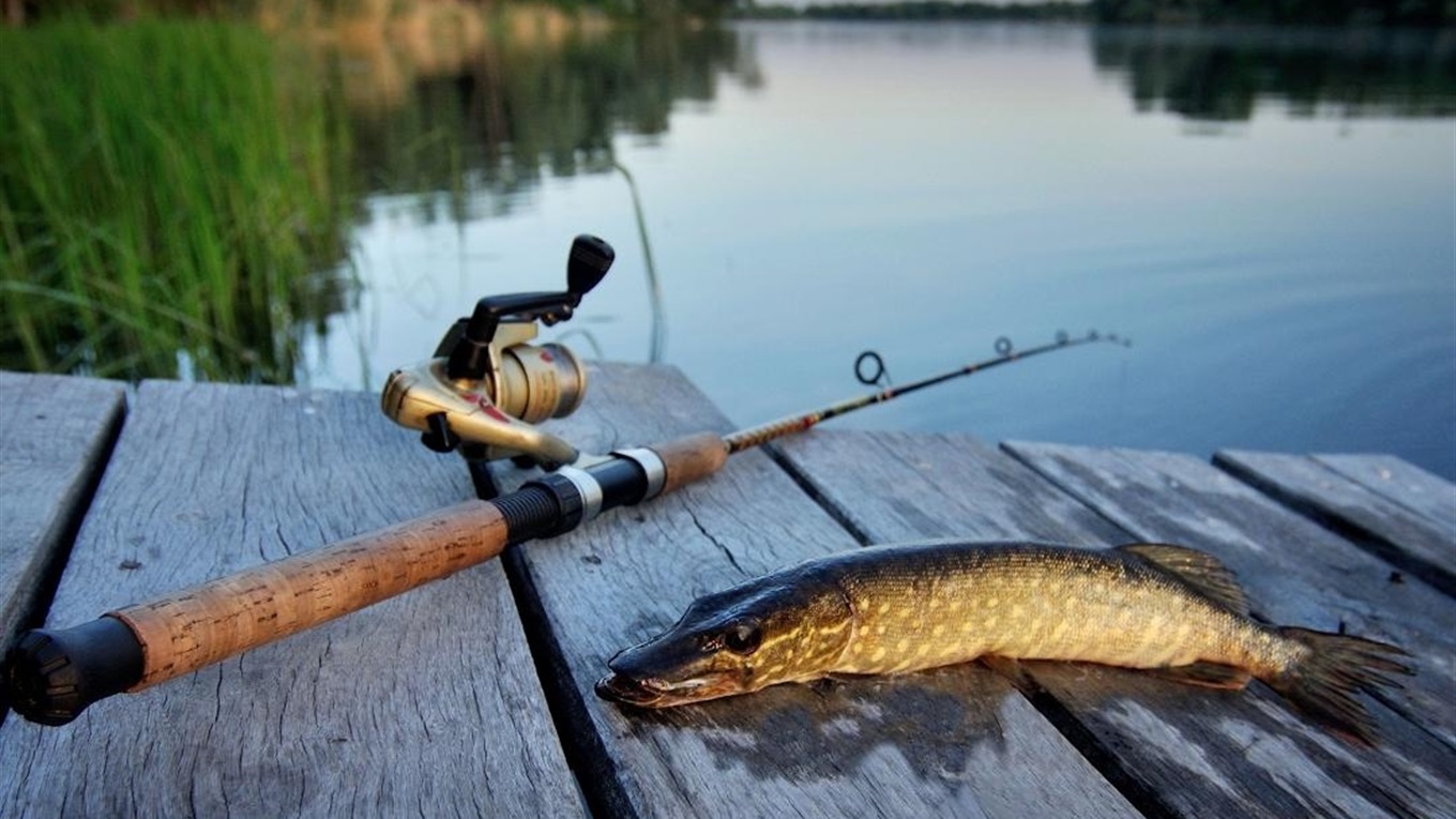 Нерестовый запрет 2026: с 1 апреля в Украине вводятся новые ограничения для рыбаков