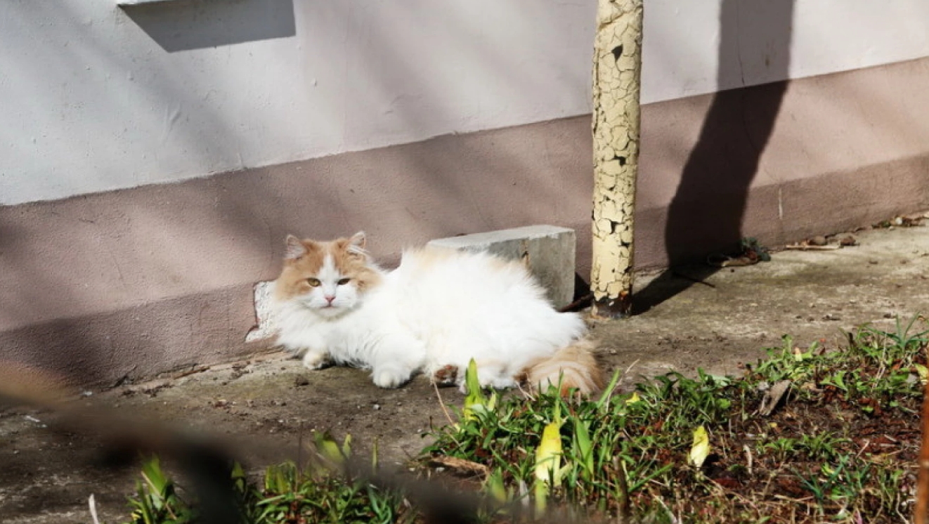 Тепло до +15° та майже без опадів: якою буде погода в Україні до кінця тижня