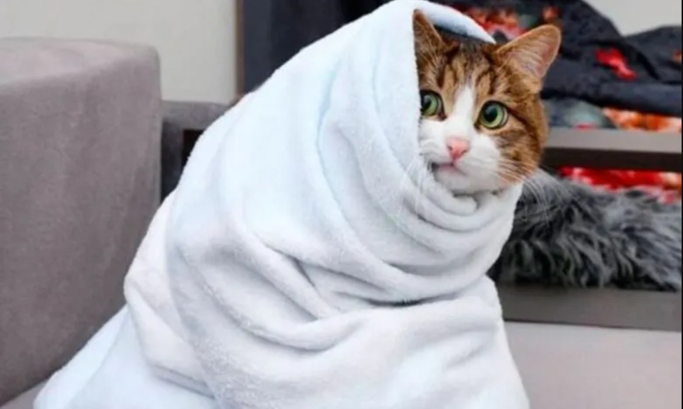 В Україну йде похолодання: мокрий сніг та перші морози очікують на північному сході