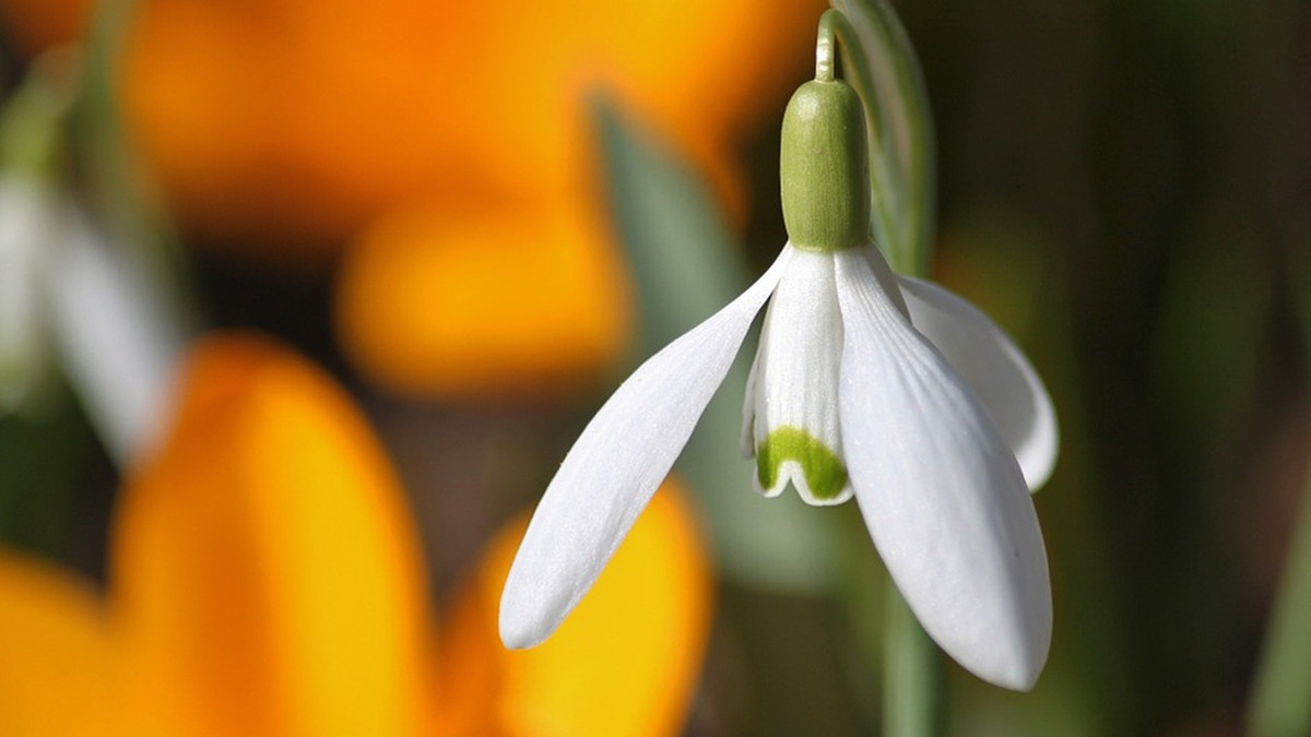 Какую погоду ждать в Украине 29 марта: прогноз синоптиков