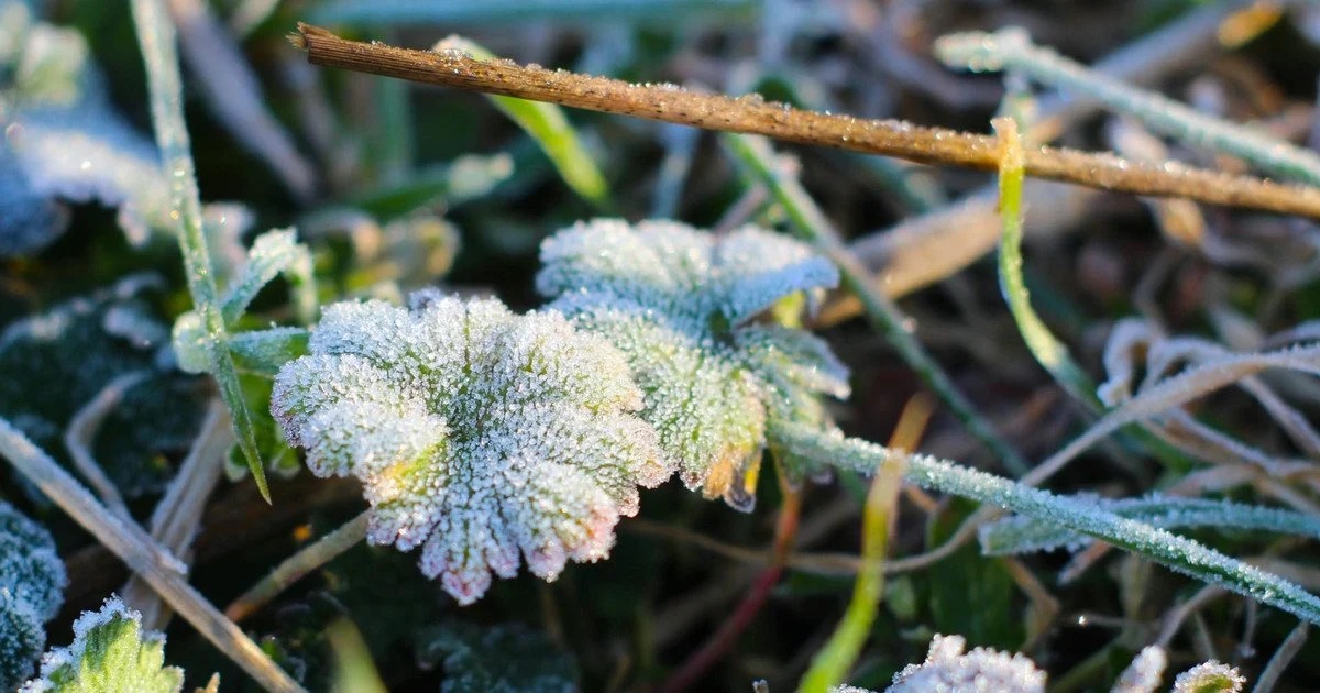 Сніг і заморозки повертаються в Україну: прогноз синоптиків