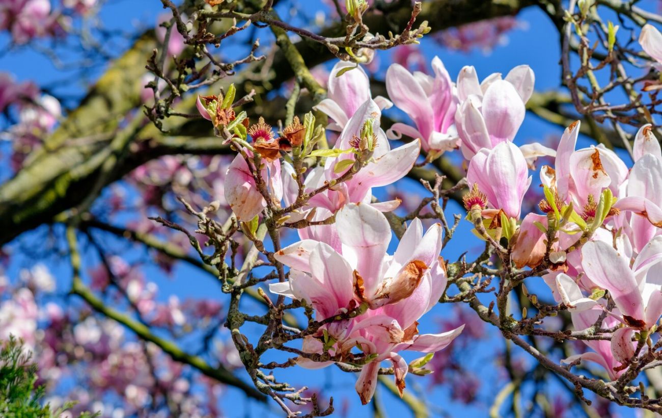 6 апреля 2026: День спорта, следователей и канун Благовещения