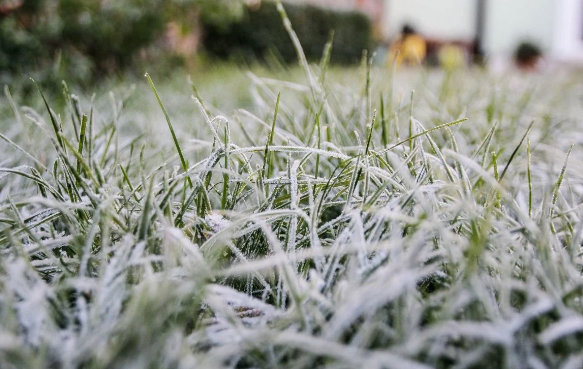 Погода на 14 апреля: ночные заморозки сохранятся, но на Закарпатье потеплеет до +19