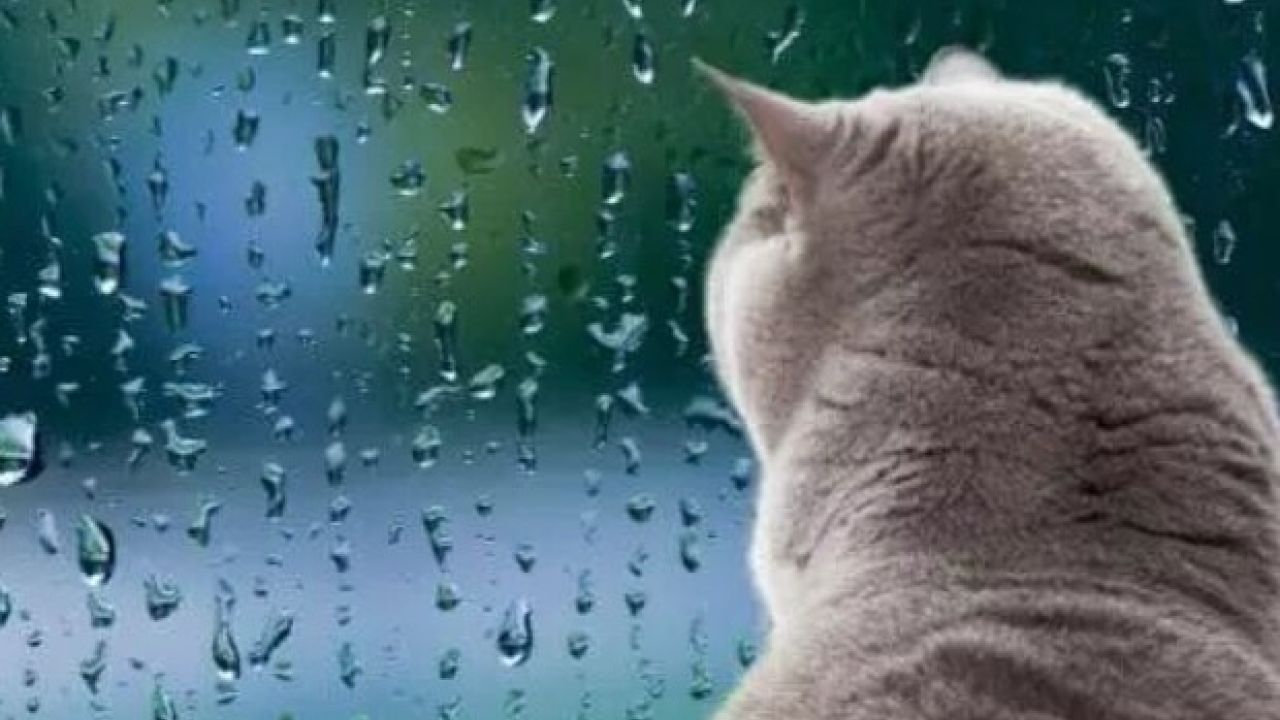 Погода в Украине на выходные 4–5 апреля: до +19, местами дожди и грозы