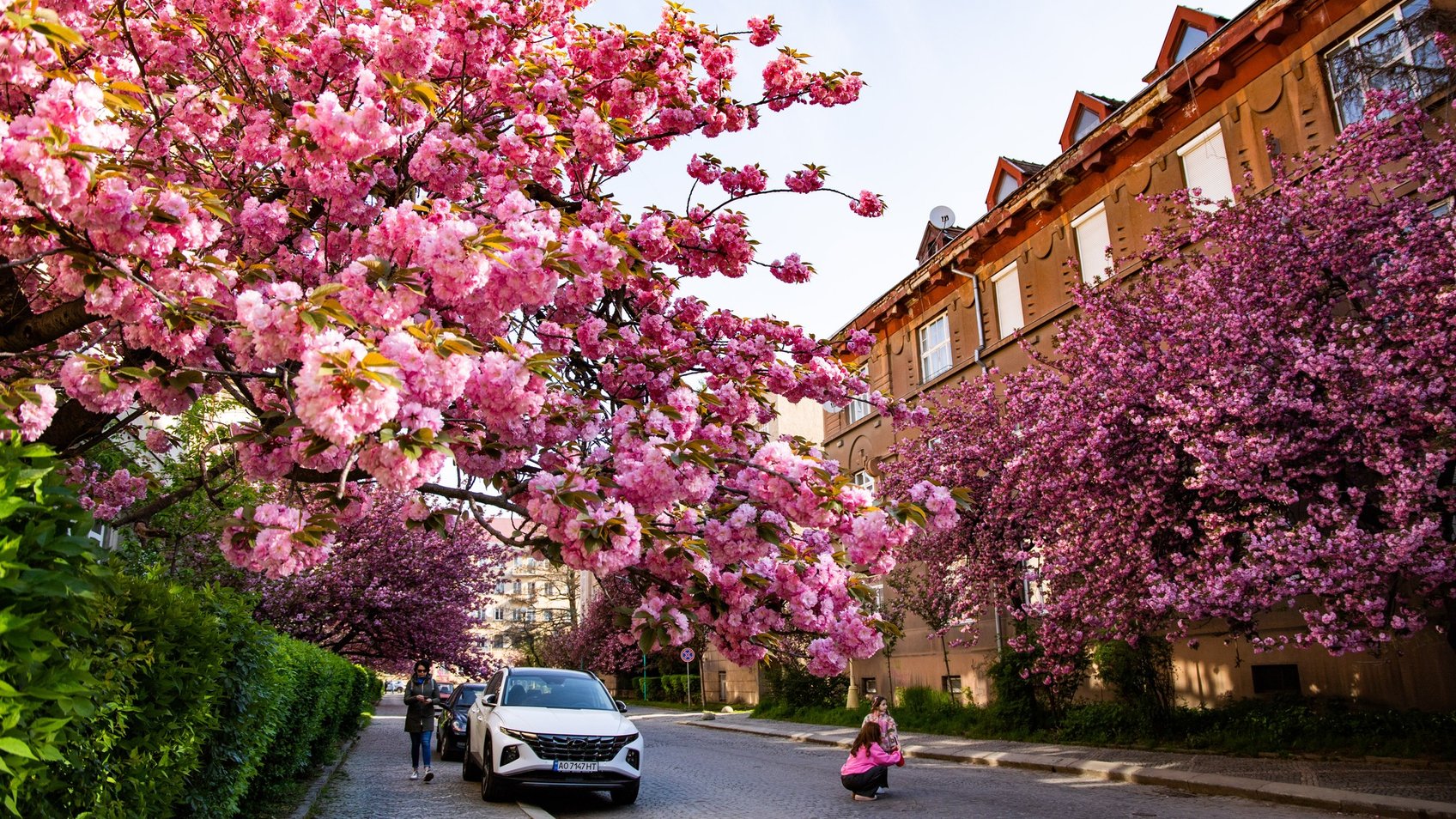 Погода в Украине: когда потеплеет до +20, где дожди и ночные морозы