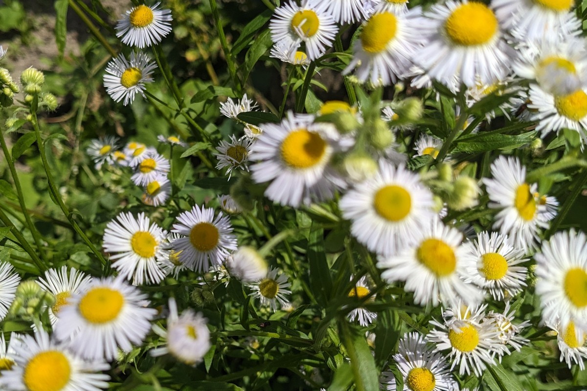 4 квітня: яке сьогодні свято, традиції та заборони