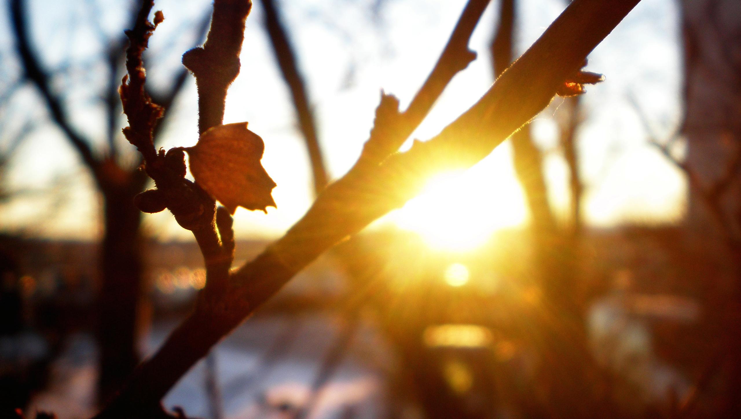 Погода на 15 квітня в Україні: до +18 тепла вдень і заморозки вночі — де чекати дощів